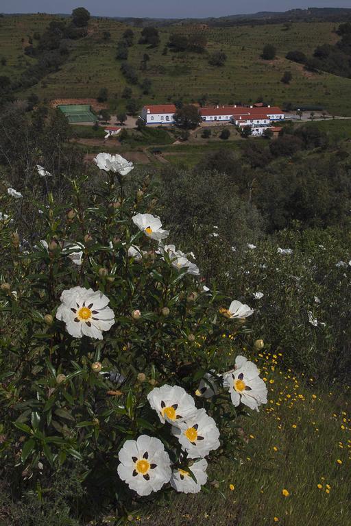 Quinta Do Chocalhinho Agroturismo & Spa Odemira Exterior foto